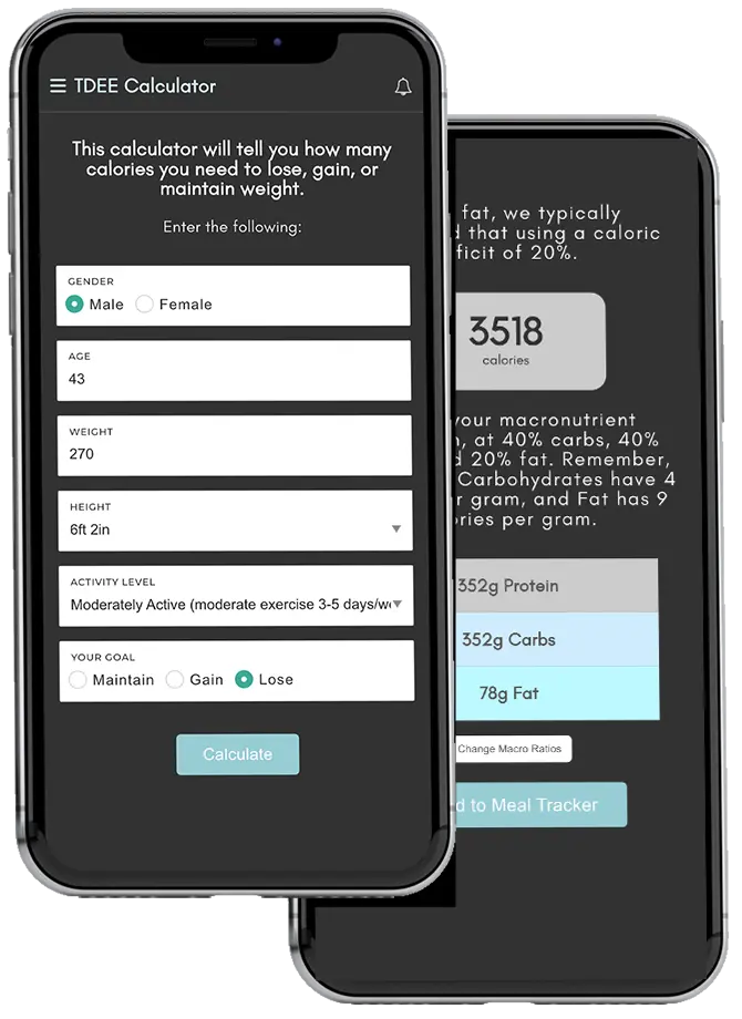 Screenshot of the MyFitSuite TDEE Calculator